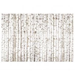 Bilderwelten Papier peint intissé No.YK15 Bouleaux - Papier peint - Blanc - 384 x 255 cm