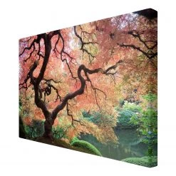 Bilderwelten Impression sur toile Jardin japonais I - Largeur : 120 cm