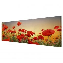 Bilderwelten Impression sur toile Coquelicots I - Largeur : 150 cm
