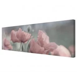 Bilderwelten Impression sur toile Pavots peint I - Largeur : 120 cm