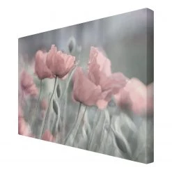 Bilderwelten Impression sur toile Pavots peint III - Largeur : 120 cm