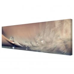 Bilderwelten Impression sur toile Waterdrop I - Largeur : 150 cm
