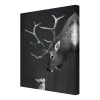 Bilderwelten Impression sur toile Cerf I - Noir / Blanc - 60 x 80 x 2 cm - Largeur : 60 cm
