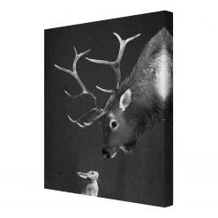Bilderwelten Impression sur toile Cerf I - Noir / Blanc - 60 x 80 x 2 cm - Largeur : 60 cm