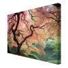 Bilderwelten Impression sur toile Jardin japonais II - Largeur : 60 cm