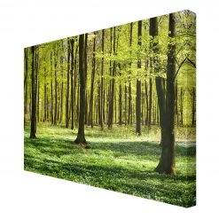 Bilderwelten Impression sur toile Prairies II - Largeur : 120 cm