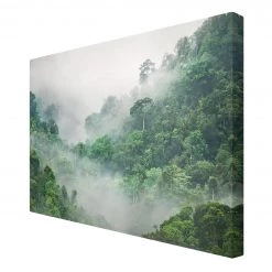 Bilderwelten Impression sur toile Jungle II - Largeur : 60 cm