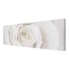 Bilderwelten Impression sur toile Pretty Rose II - Largeur : 150 cm