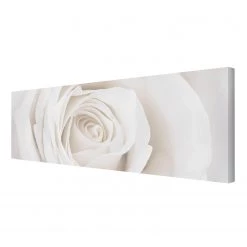 Bilderwelten Impression sur toile Pretty Rose II - Largeur : 150 cm