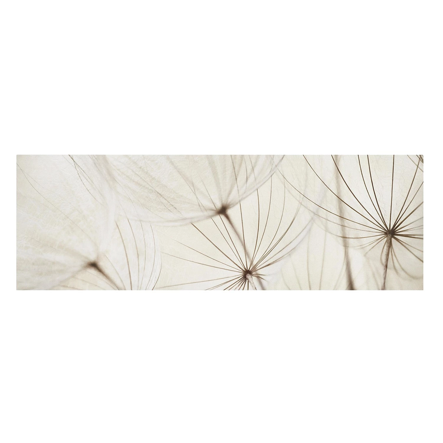 Bilderwelten Impression sur toile Herbe douce II - Largeur : 120 cm – Image 5