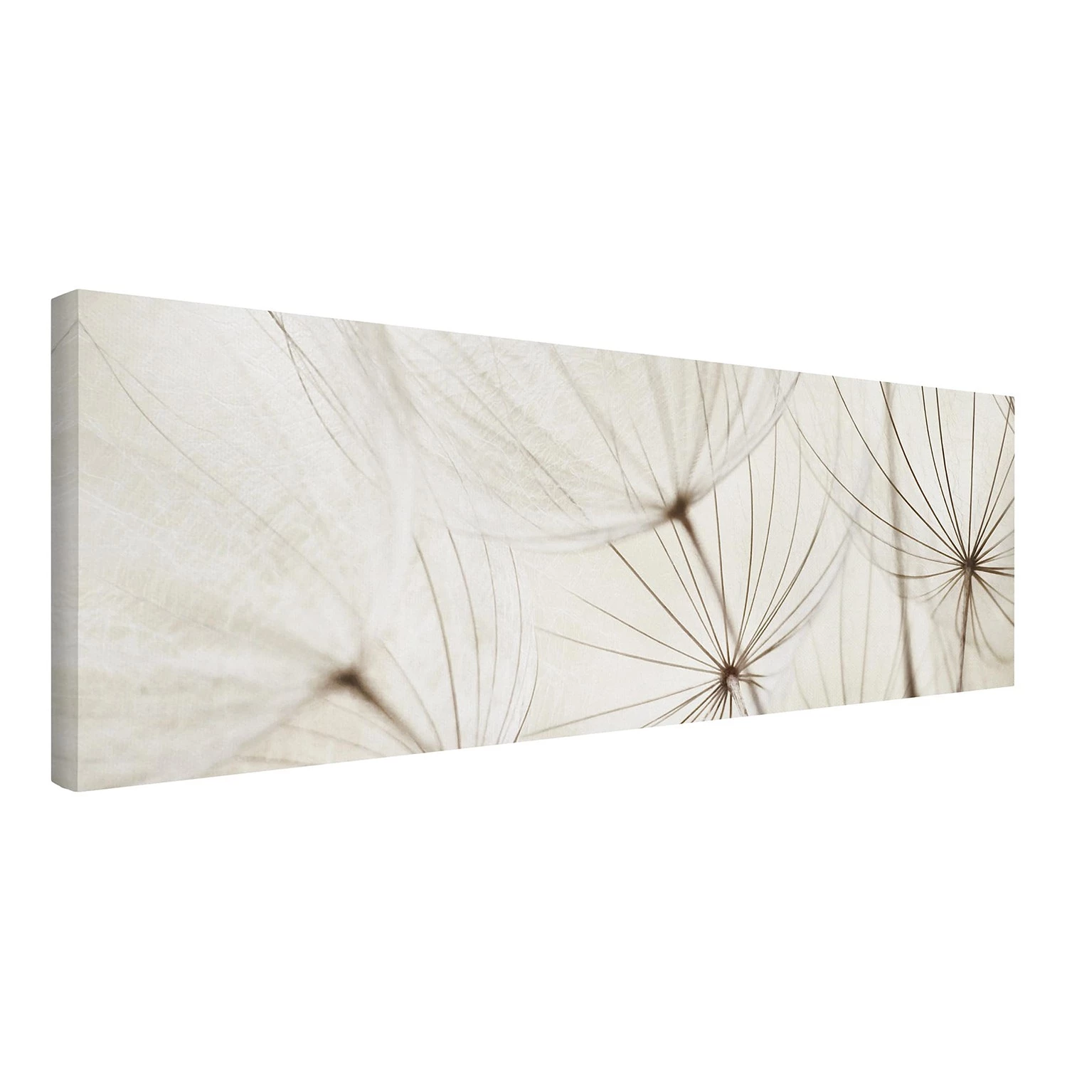 Bilderwelten Impression sur toile Herbe douce II - Largeur : 120 cm – Image 6