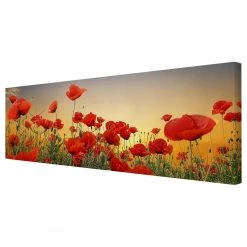Bilderwelten Impression sur toile Coquelicots II - Largeur : 150 cm