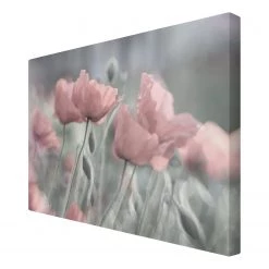 Bilderwelten Impression sur toile Pavots peint IV - Largeur : 90 cm