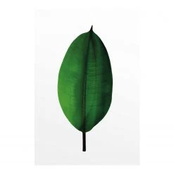Komar Tableau déco Ficus Leaf - Papier - Vert / Blanc