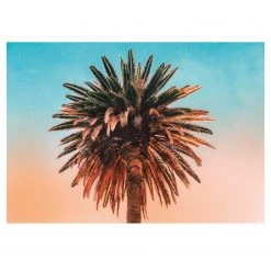 Komar Tableau déco Palm Tree - Papier - Multicolore