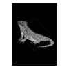 Komar Tableau déco Iguana Black - Papier - Noir / Blanc