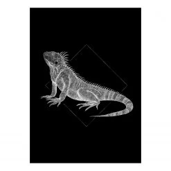 Komar Tableau déco Iguana Black - Papier - Noir / Blanc
