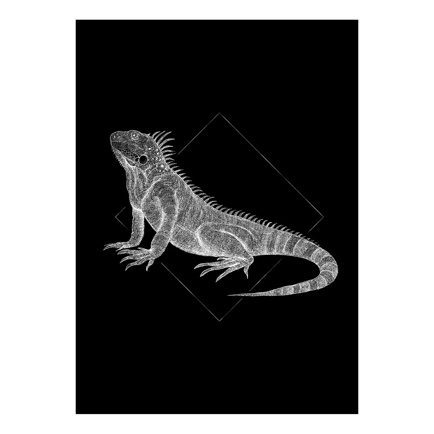 Komar Tableau déco Iguana Black - Papier - Noir / Blanc