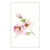 Komar Tableau déco Magnolia Breathe - Papier - Rose / Vert