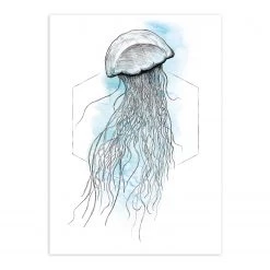 Komar Tableau déco Jellyfish - Papier - Translucide