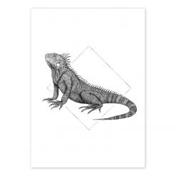 Komar Tableau déco Iguana White - Papier - Noir / Blanc