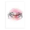 Komar Tableau déco Crab - Papier - Translucide