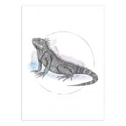 Komar Tableau déco Iguana Watercolor - Papier - Multicolore
