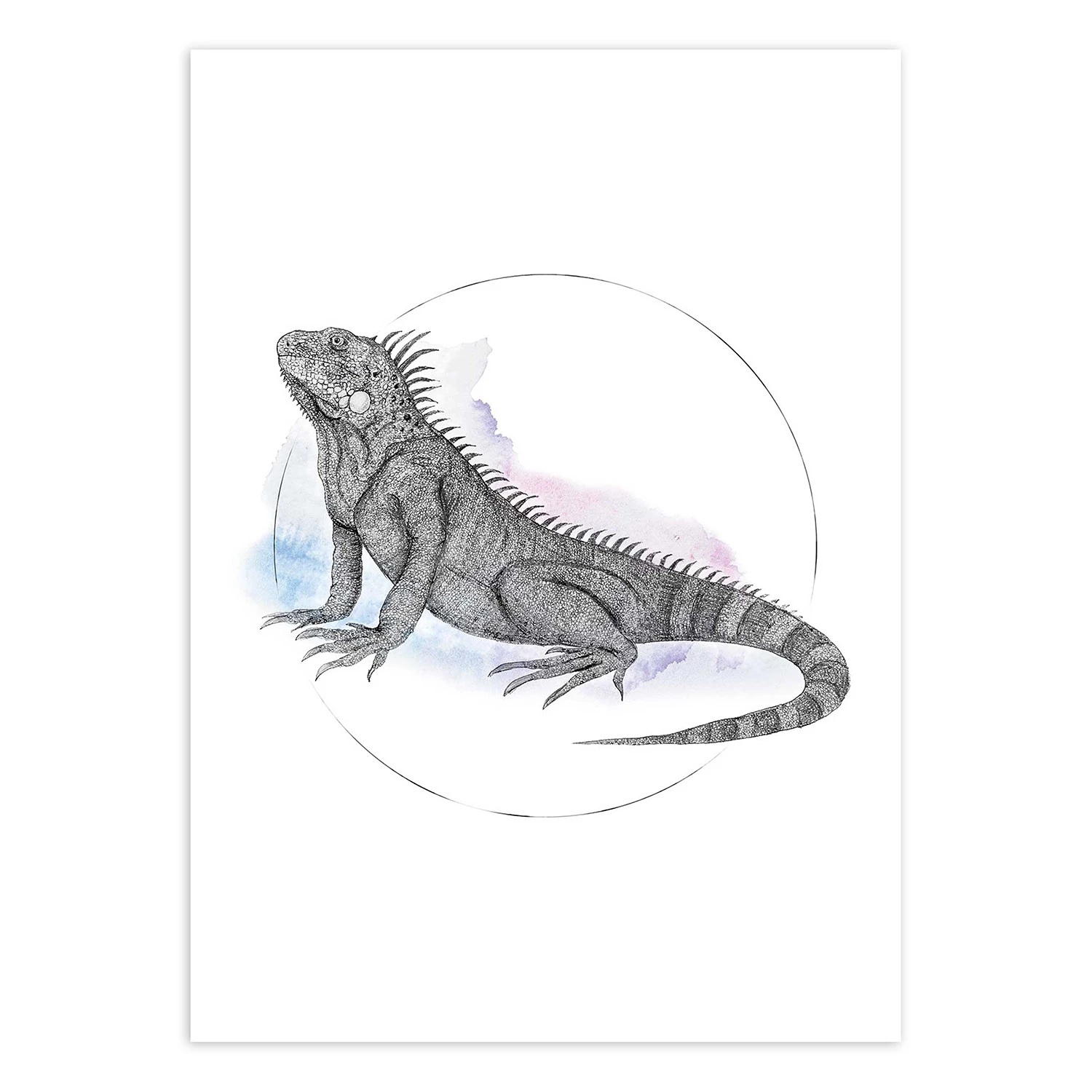 Komar Tableau déco Iguana Watercolor - Papier - Multicolore