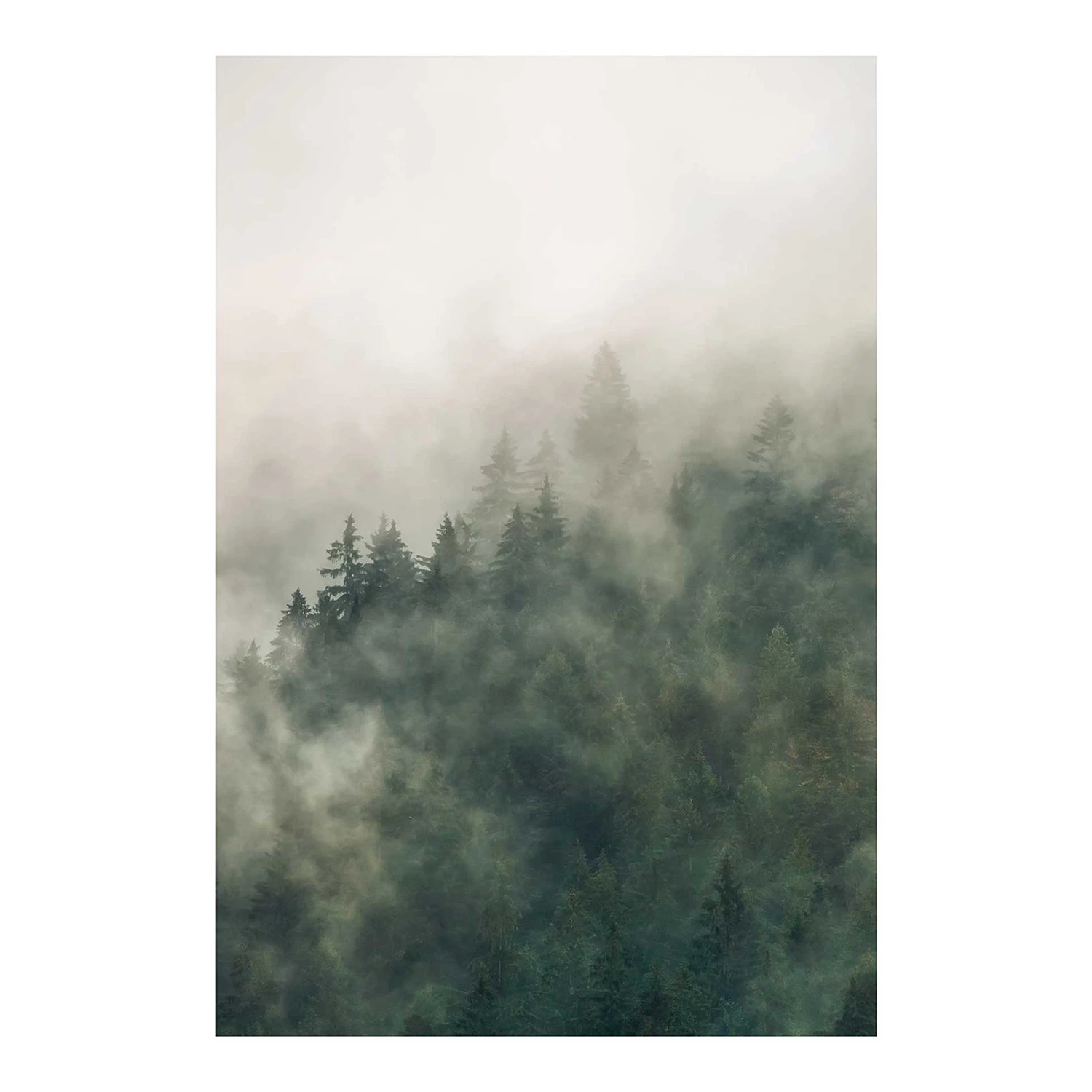 Komar Tableau déco Tales of the Carpathians I - Papier - Gris / Blanc