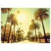 Komar Tableau déco Palm Alley - Papier - Multicolore