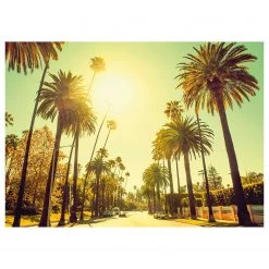 Komar Tableau déco Palm Alley - Papier - Multicolore