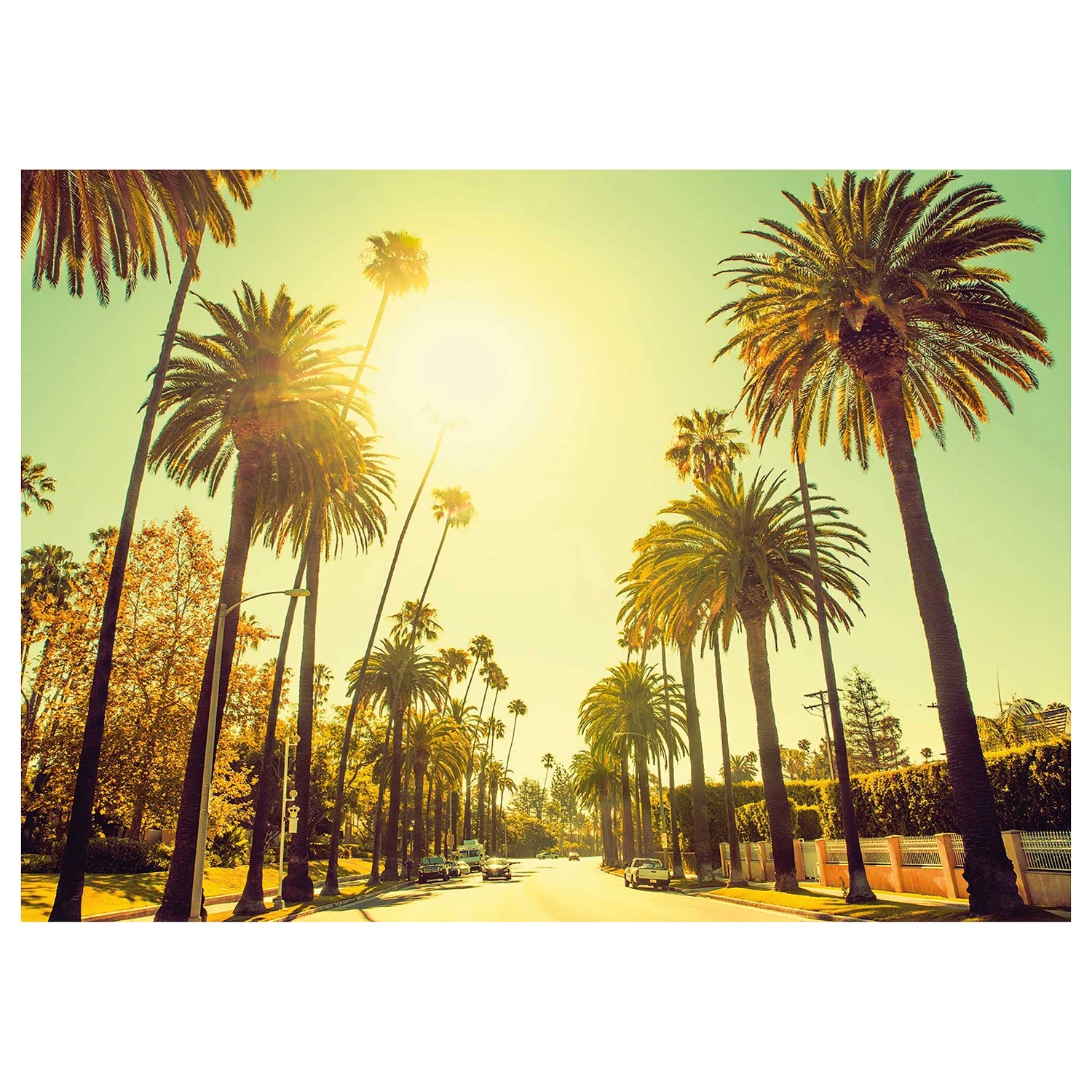 Komar Tableau déco Palm Alley - Papier - Multicolore