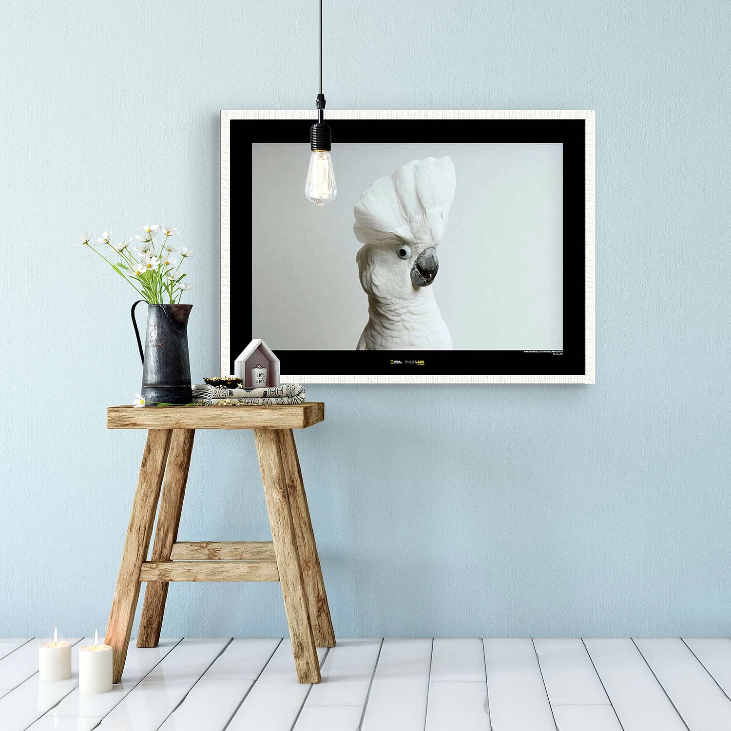 Komar Tableau déco White Cockatoo - Papier - Marron / Noir – Image 2