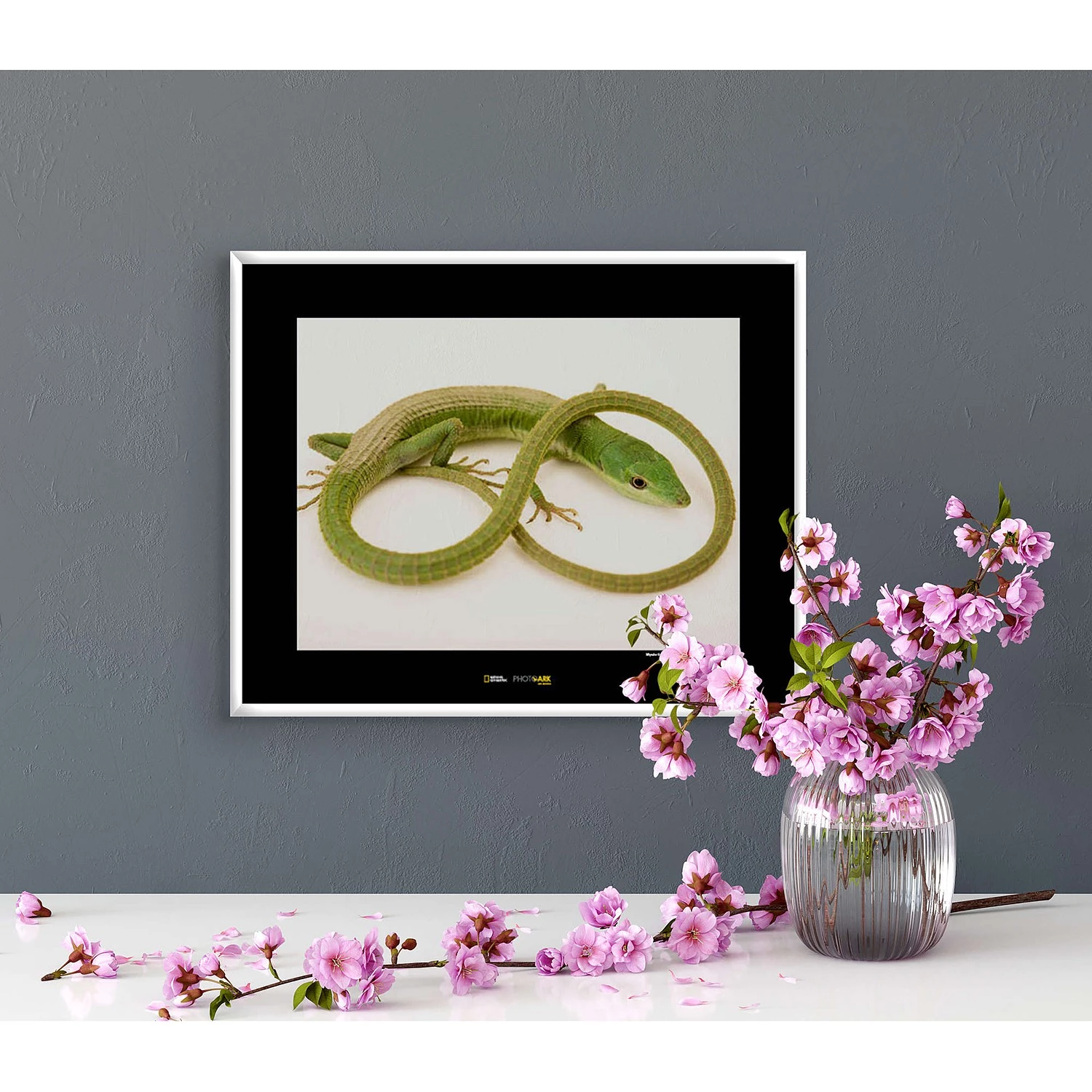 Komar Tableau déco Green Grass Lizard - Papier - Vert / Blanc – Image 2