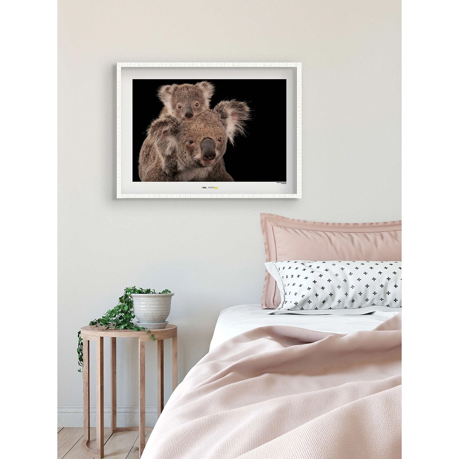 Komar Tableau déco Koala Bear - Papier - Marron / Noir – Image 2