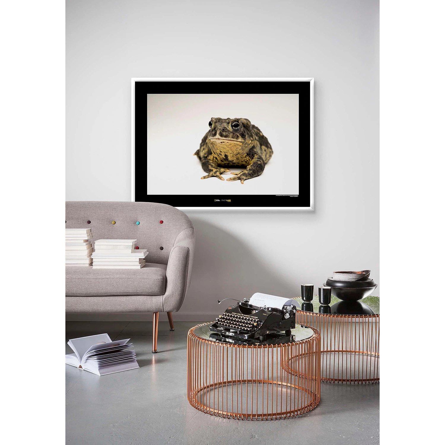 Komar Tableau déco Wyoming Toad - Papier - Marron / Noir – Image 2