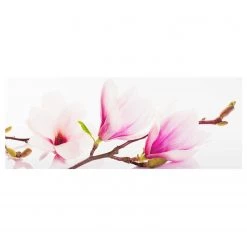 Bilderwelten Tableau en verre Magnolia - Rose - 80 x 30 x 0,4 cm - 80 x 30 cm