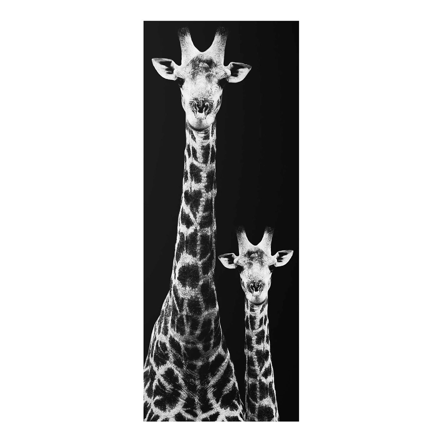 Bilderwelten Tableau en verre Girafes - Noir et blanc - 50 x 125 x 0,4 cm