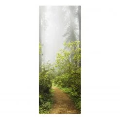 Bilderwelten Tableau en verre Brume dans les bois - Vert - 30 x 80 x 0,4 cm - 30 x 80 cm