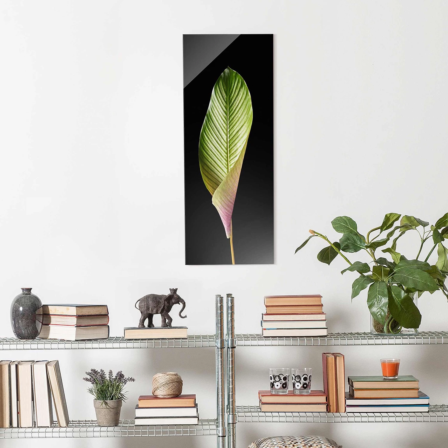 Bilderwelten Tableau en verre Calathea-ornata - Noir et vert - 50 x 125 x 0,4 cm – Image 2