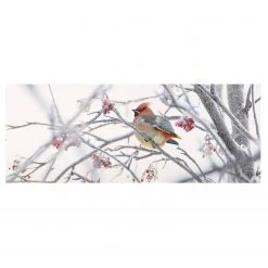 Bilderwelten Tableau en verre Jaseur dans un arbre - Blanc - 125 x 50 x 0,4 cm