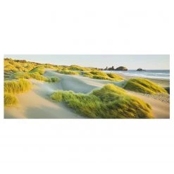 Bilderwelten Tableau en verre Dunes et bord de mer - Vert - 80 x 30 x 0,4 cm - 80 x 30 cm