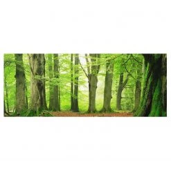 Bilderwelten Tableau en verre Mighty Beech Trees - Vert - 125 x 50 x 0,4 cm