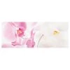 Bilderwelten Tableau en verre Delicate Orchids - Rose - 125 x 50 x 0,4 cm - 125 x 50 cm
