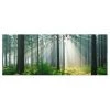 Bilderwelten Tableau en verre Enlightened Forest - Vert - 125 x 50 x 0,4 cm