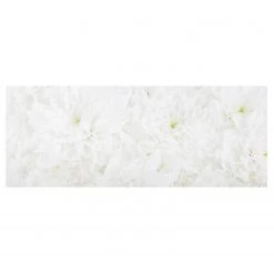 Bilderwelten Tableau en verre Dahlia - Blanc - 125 x 50 x 0,4 cm - 125 x 50 cm