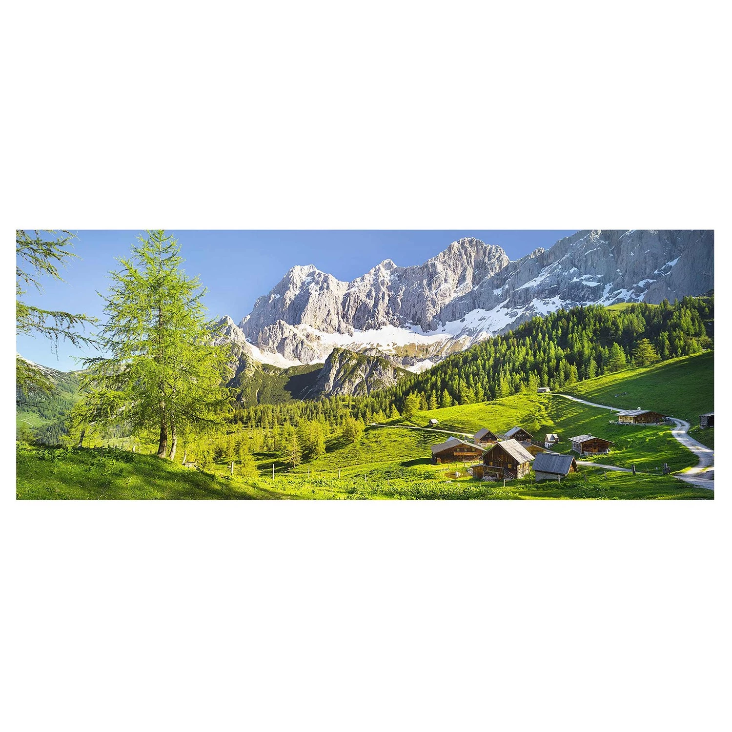 Bilderwelten Tableau en verre Pré - Vert - 125 x 50 x 0,4 cm - 125 x 50 cm