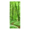 Bilderwelten Tableau en verre Chemin dans la forêt - Vert - 30 x 80 x 0,4 cm - 30 x 80 cm