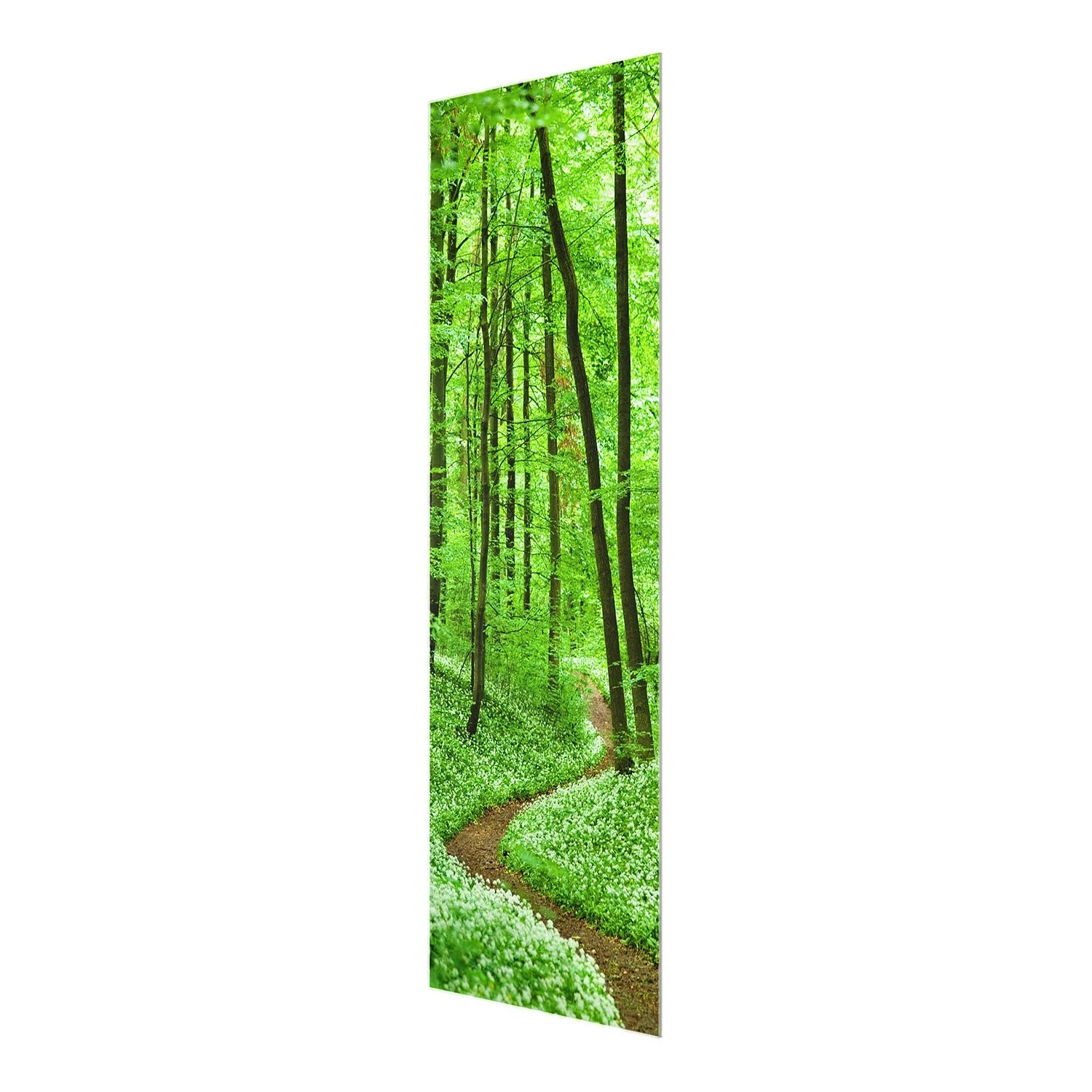 Bilderwelten Tableau en verre Chemin dans la forêt - Vert - 50 x 125 x 0,4 cm - 50 x 125 cm – Image 6