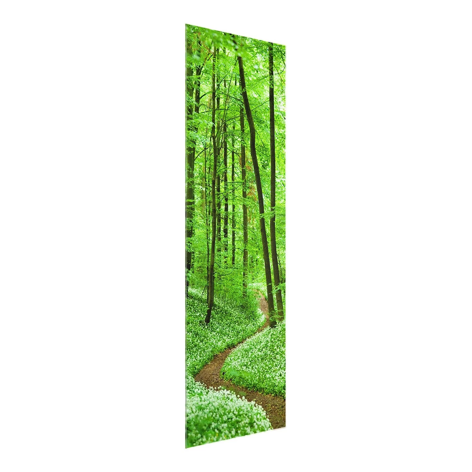 Bilderwelten Tableau en verre Chemin dans la forêt - Vert - 50 x 125 x 0,4 cm - 50 x 125 cm – Image 7